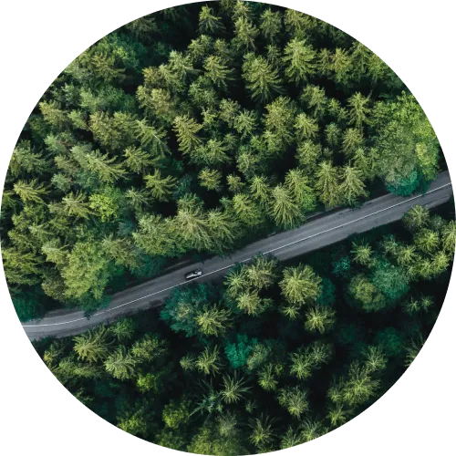 リサイクルされるクルマの部品と緑